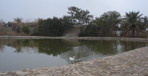 fallujah pond