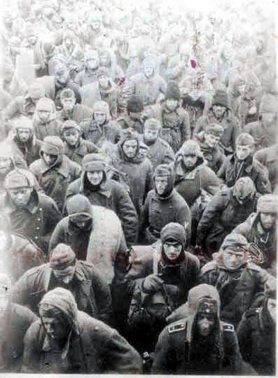 pows stalingrad