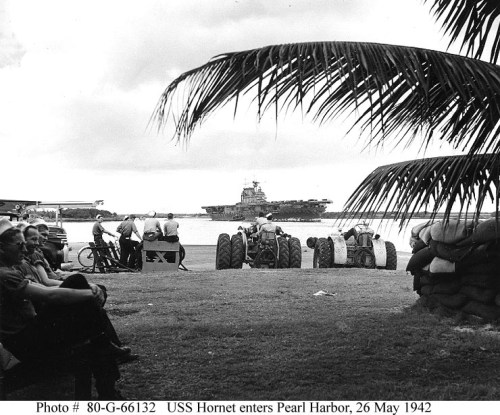 hornet entering pearl