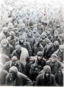 pows stalingrad