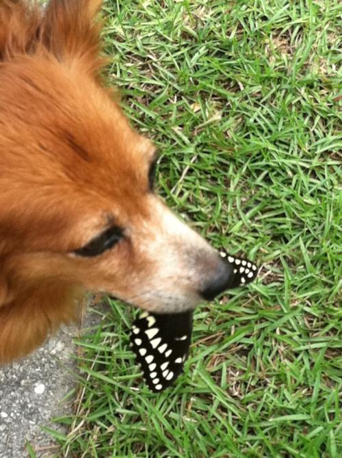 409701_10151197965592059_1681315537_n