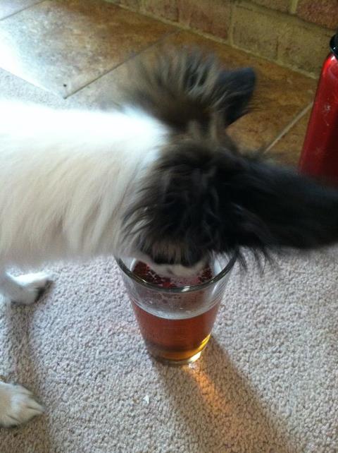 487350_10151010790187059_671902058_12131114_1413638071_n