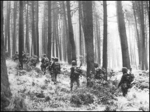 hurtgen-forest-soldiers