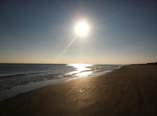 270107_10151361199622059_1286921284_n-1