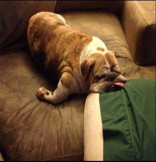 602843_10151494689514490_2075182584_n