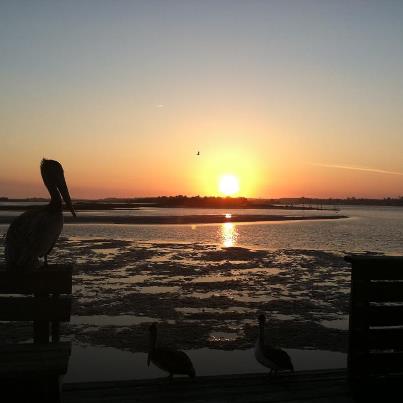 550094_10151467282032059_222295451_n-1