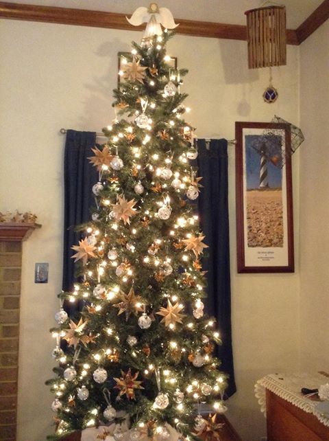 996759_10152169414832059_1833080489_n