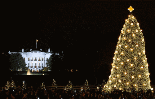 National-Christmas-Tree