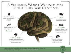 20131108-ArlingtonVA-MilitaryInforgraphic