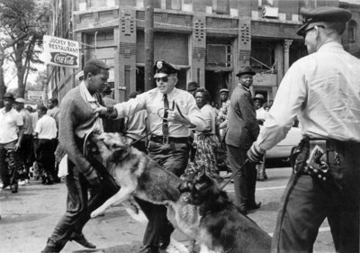 Birmingham_campaign_dogs