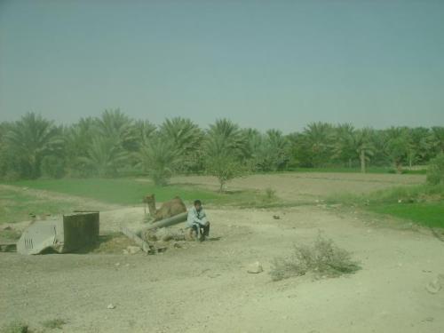 305907_10151366984087059_87121005_n